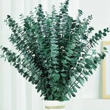 Hojas de Eucaliptos (Eucalyptus Leaves) Flores Aromáticas Seca para Jabones y Velones
