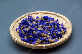 Flor No Me Olvides Seca (Purple Forget me Not) Flores para Velones y Jabones