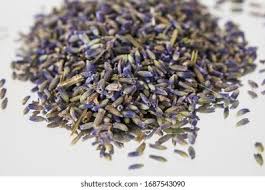 Semilla de Lavanda (Lavender Seeds)