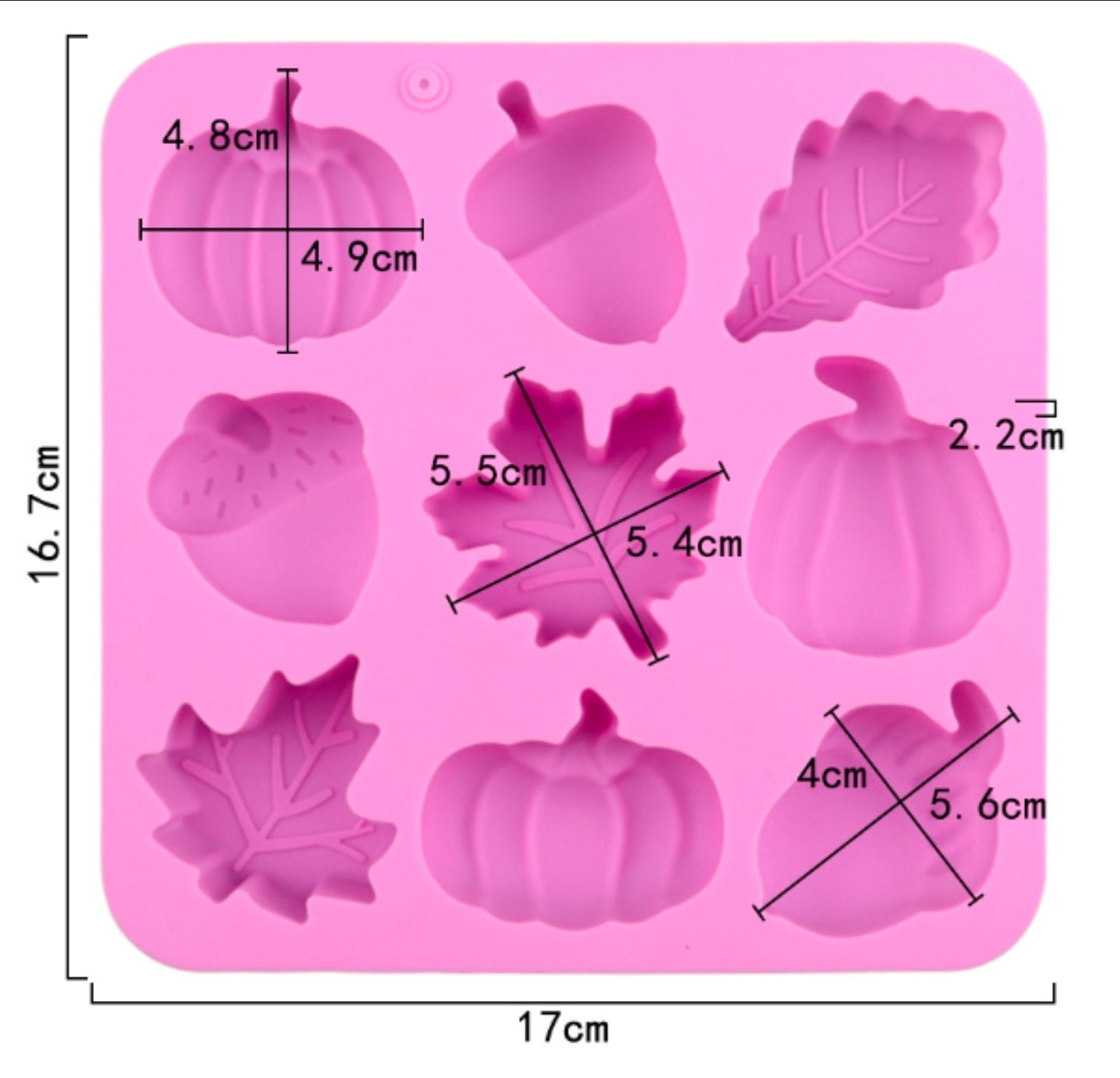 Moldes de Hojas y Frutas de Otoño para Jabones, Comestibles, Chocolate y Bizcocho