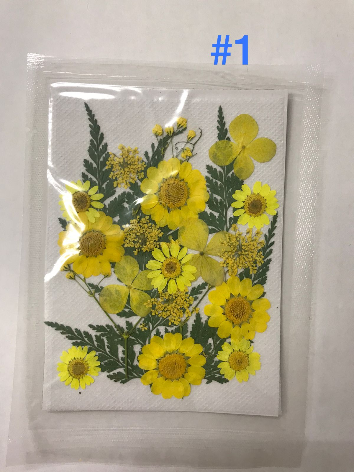Flores Secas Prensadas para decoracion y resina epoxica