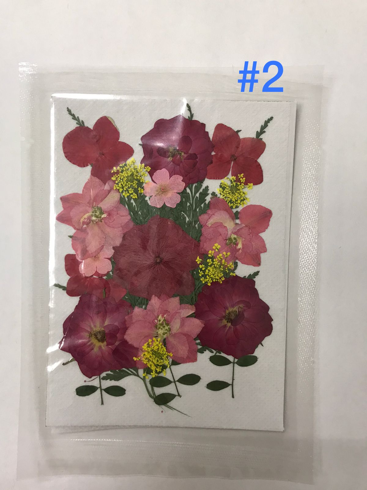 Flores Secas Prensadas para decoracion y resina epoxica