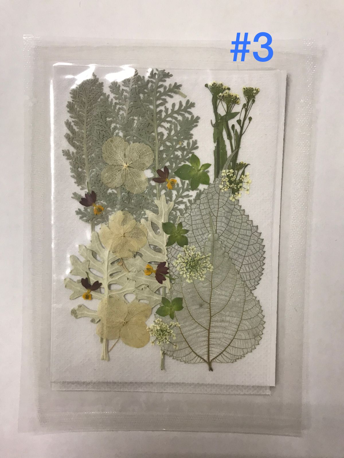 Flores Secas Prensadas para decoracion y resina epoxica