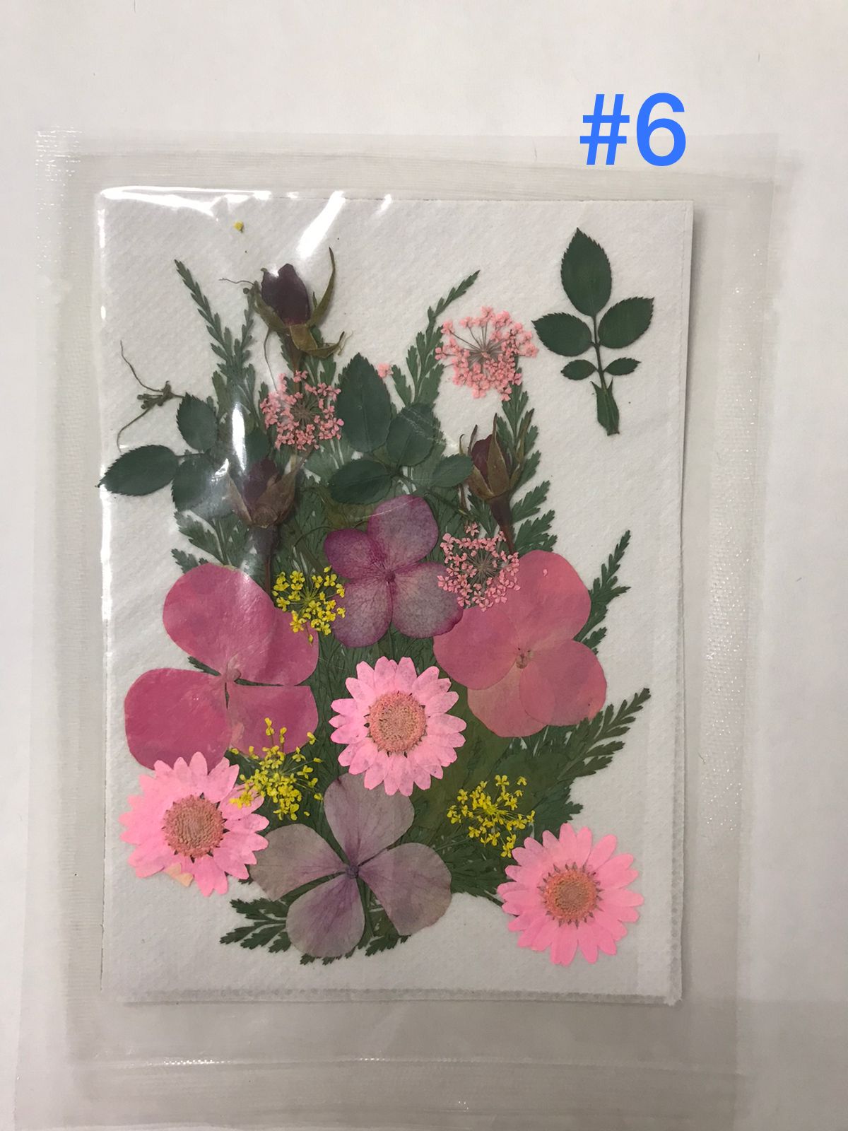 Flores Secas Prensadas para decoracion y resina epoxica