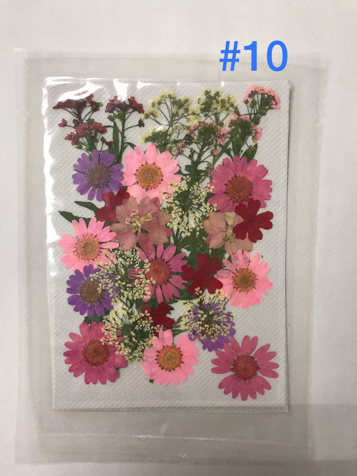 Flores Secas Prensadas para decoracion y resina epoxica
