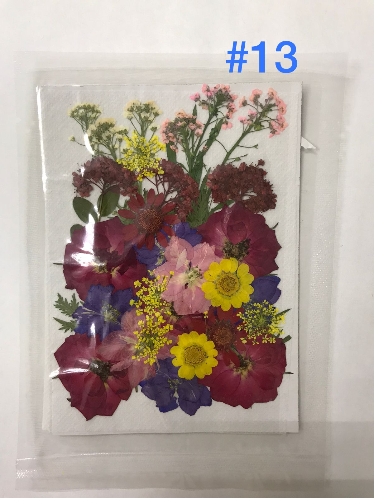 Flores Secas Prensadas para decoracion y resina epoxica