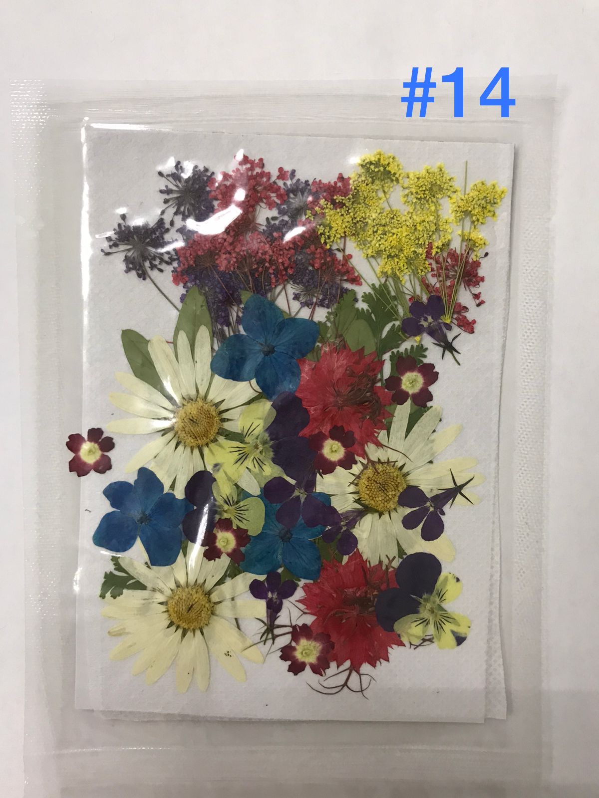 Flores Secas Prensadas para decoracion y resina epoxica