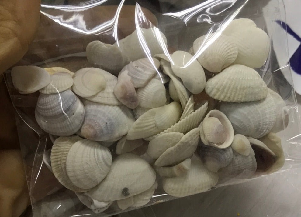 Caracoles