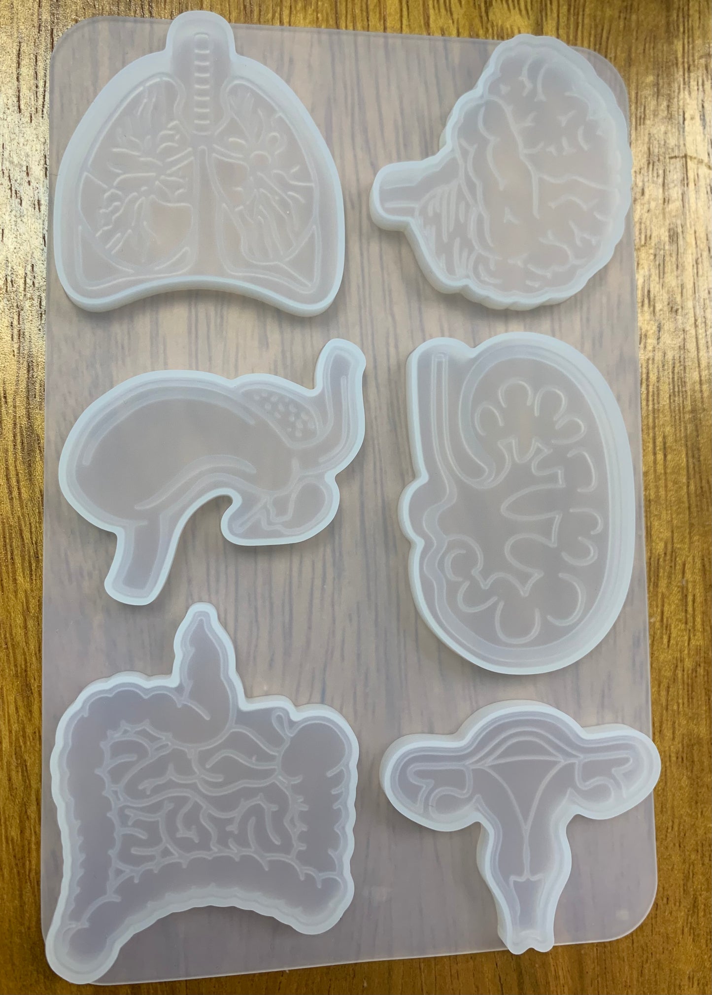 Molde en forma de órganos del cuerpo