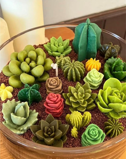 Molde de Cactus y Suculentas para Velas y Resina