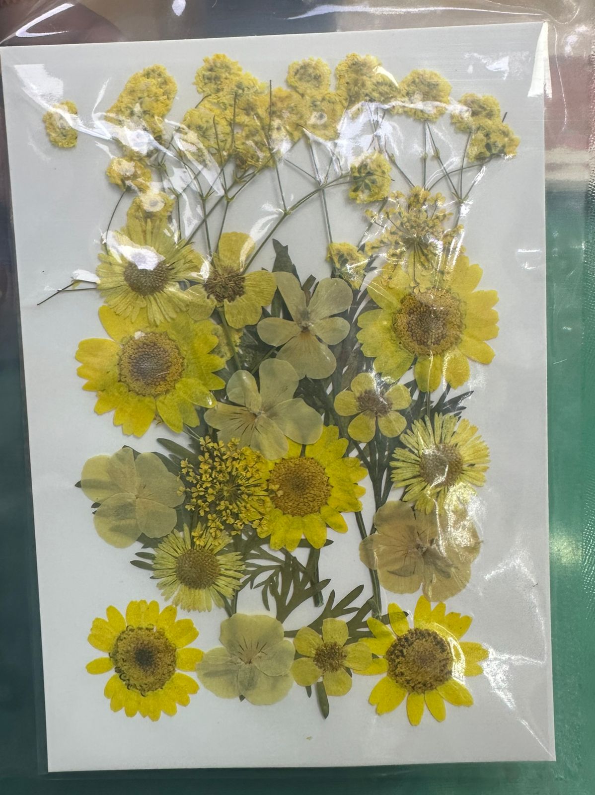 Flores Secas Prensadas para decoracion y resina epoxica