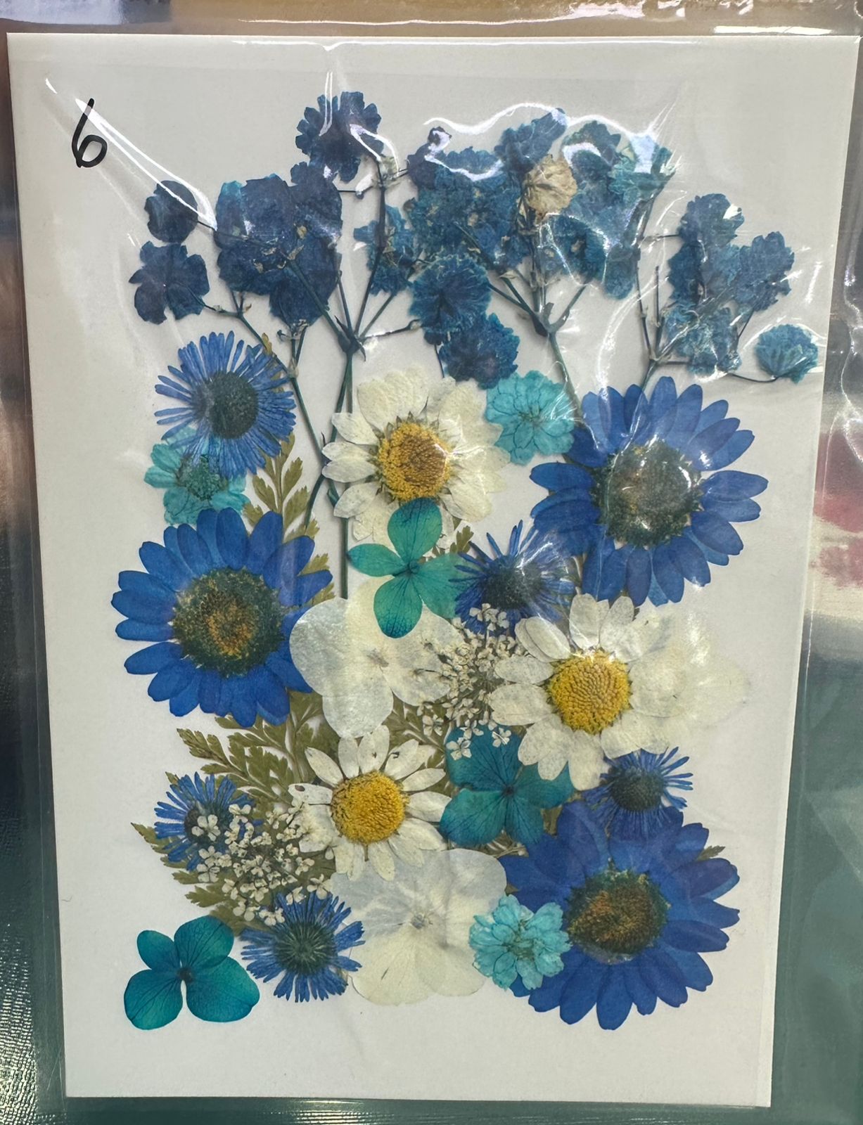 Flores Secas Prensadas para decoracion y resina epoxica