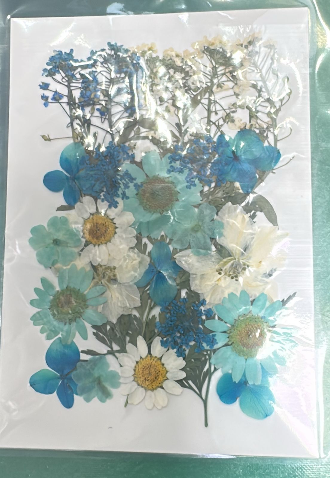 Flores Secas Prensadas para decoracion y resina epoxica