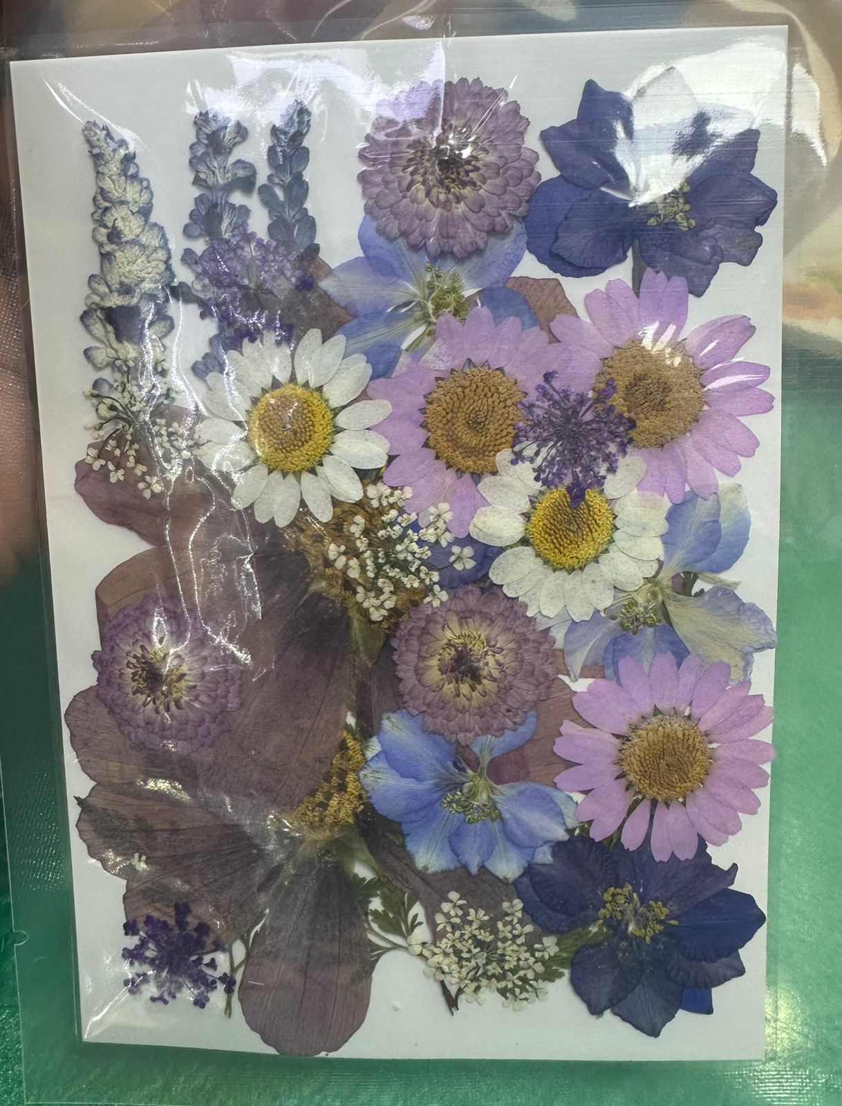 Flores Secas Prensadas para decoracion y resina epoxica
