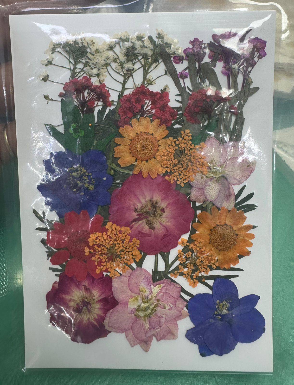 Flores Secas Prensadas para decoracion y resina epoxica