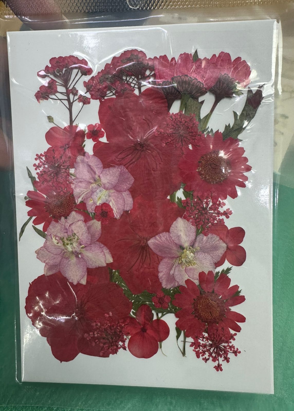 Flores Secas Prensadas para decoracion y resina epoxica