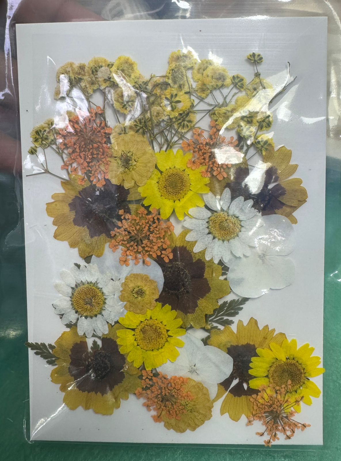 Flores Secas Prensadas para decoracion y resina epoxica