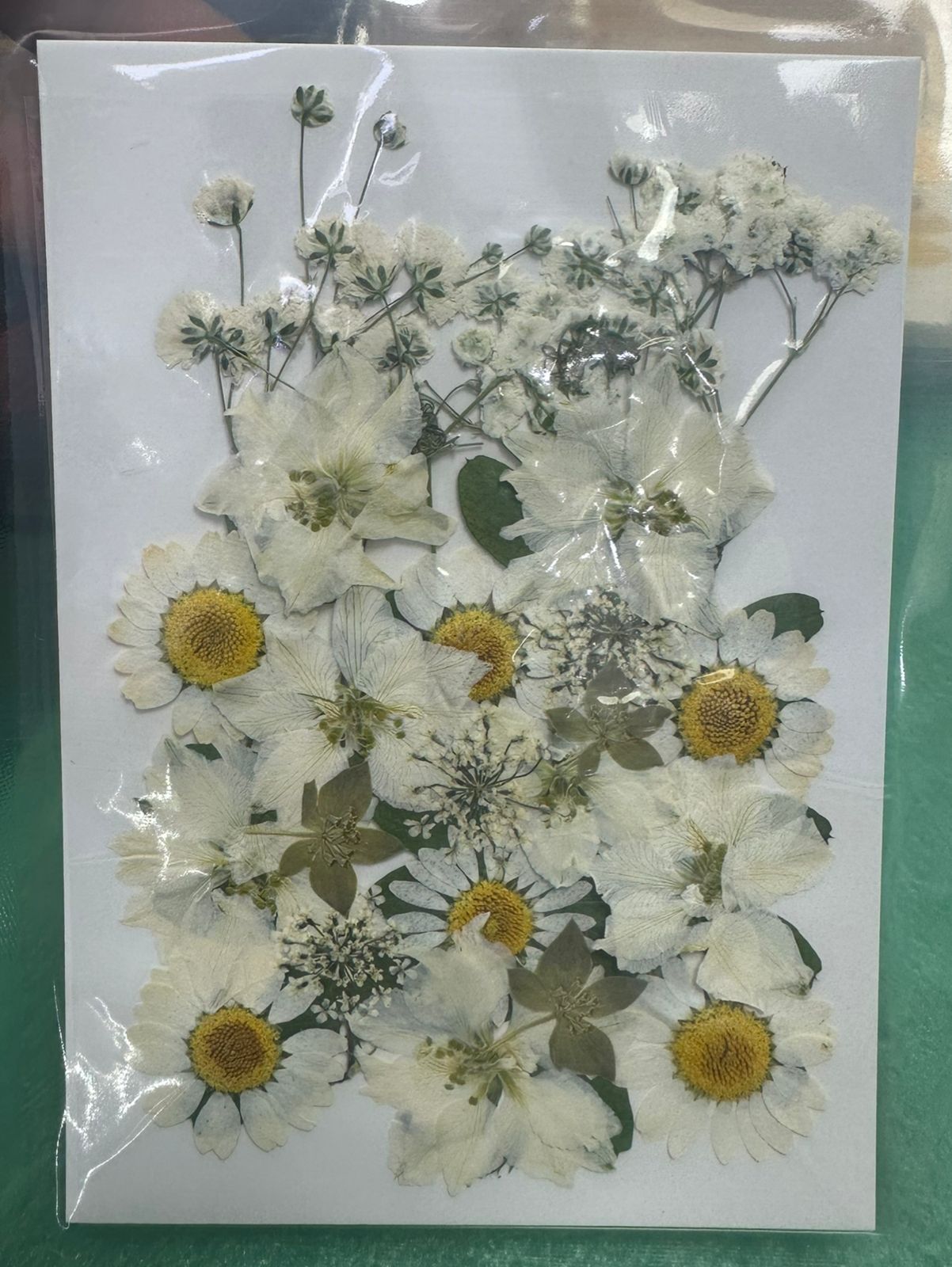 Flores Secas Prensadas para decoracion y resina epoxica