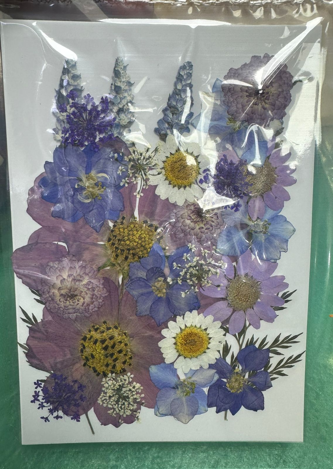 Flores Secas Prensadas para decoracion y resina epoxica