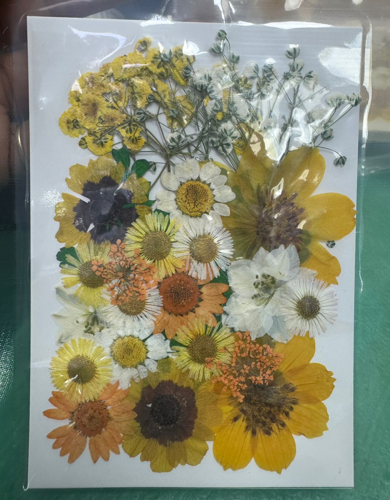 Flores Secas Prensadas para decoracion y resina epoxica