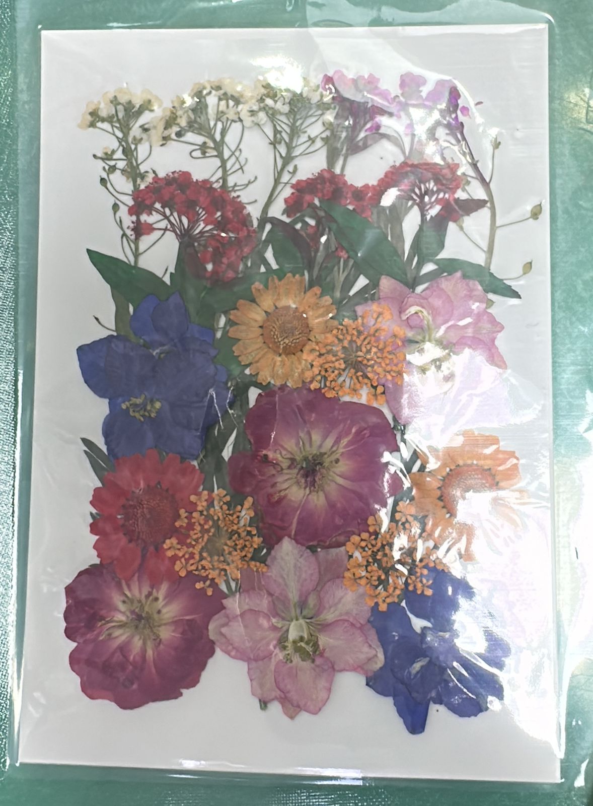 Flores Secas Prensadas para decoracion y resina epoxica