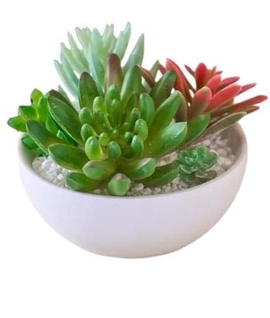 Molde para Plato Hondo (tazon) y Maceteros