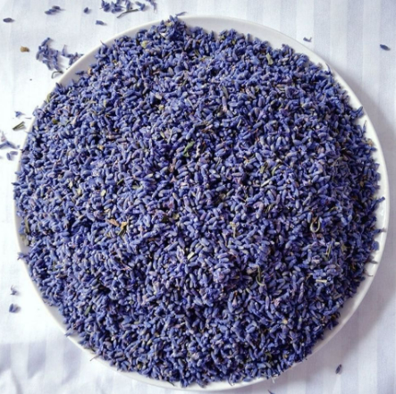 Semilla de Lavanda (Lavender Seeds)