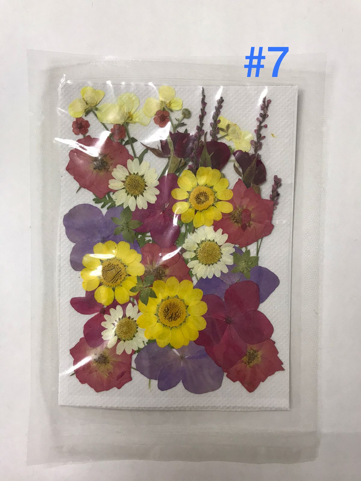 Flores Secas Prensadas para decoracion y resina epoxica