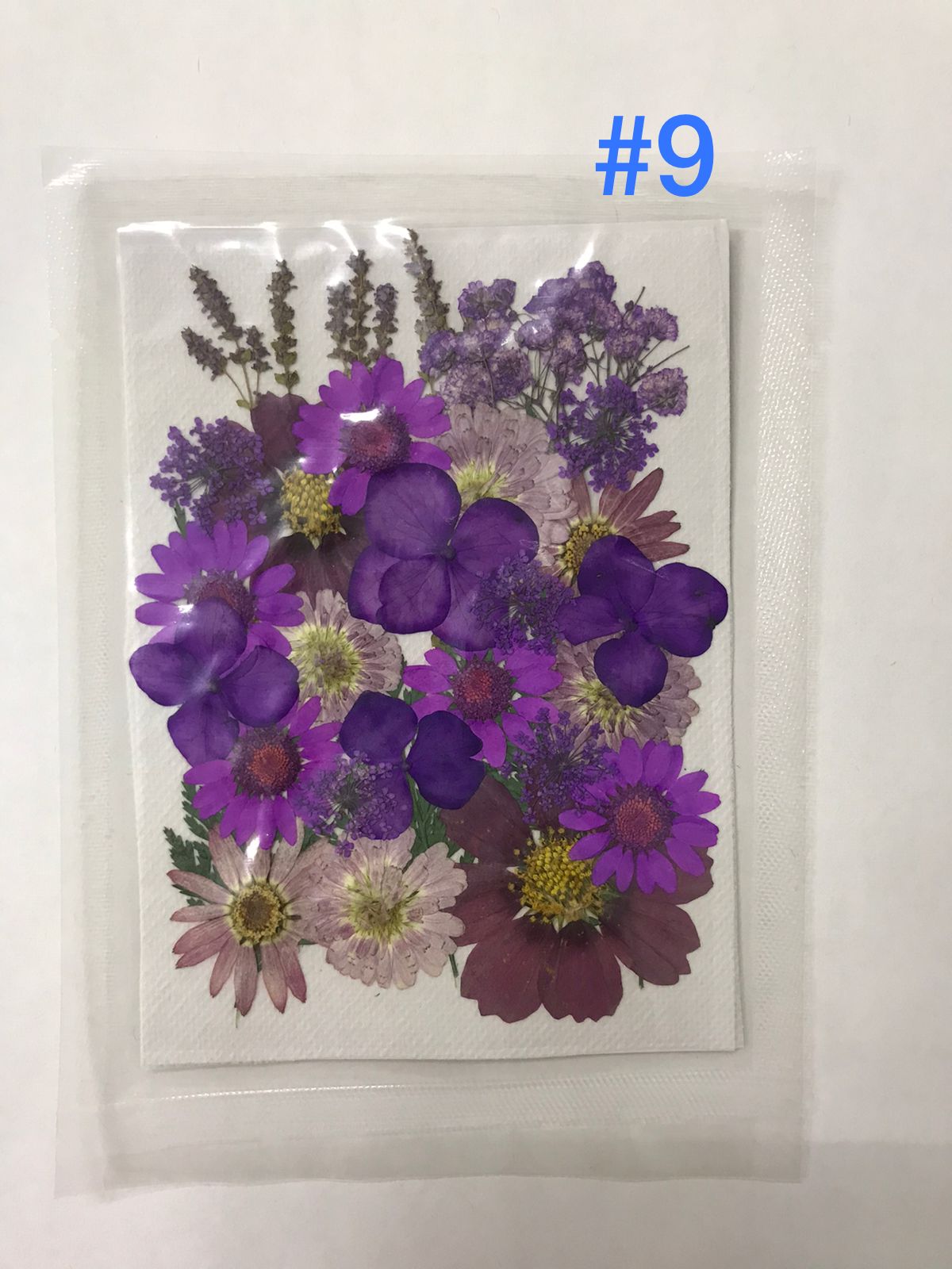 Zynery 102 flores secas para resina, flores prensadas secas para