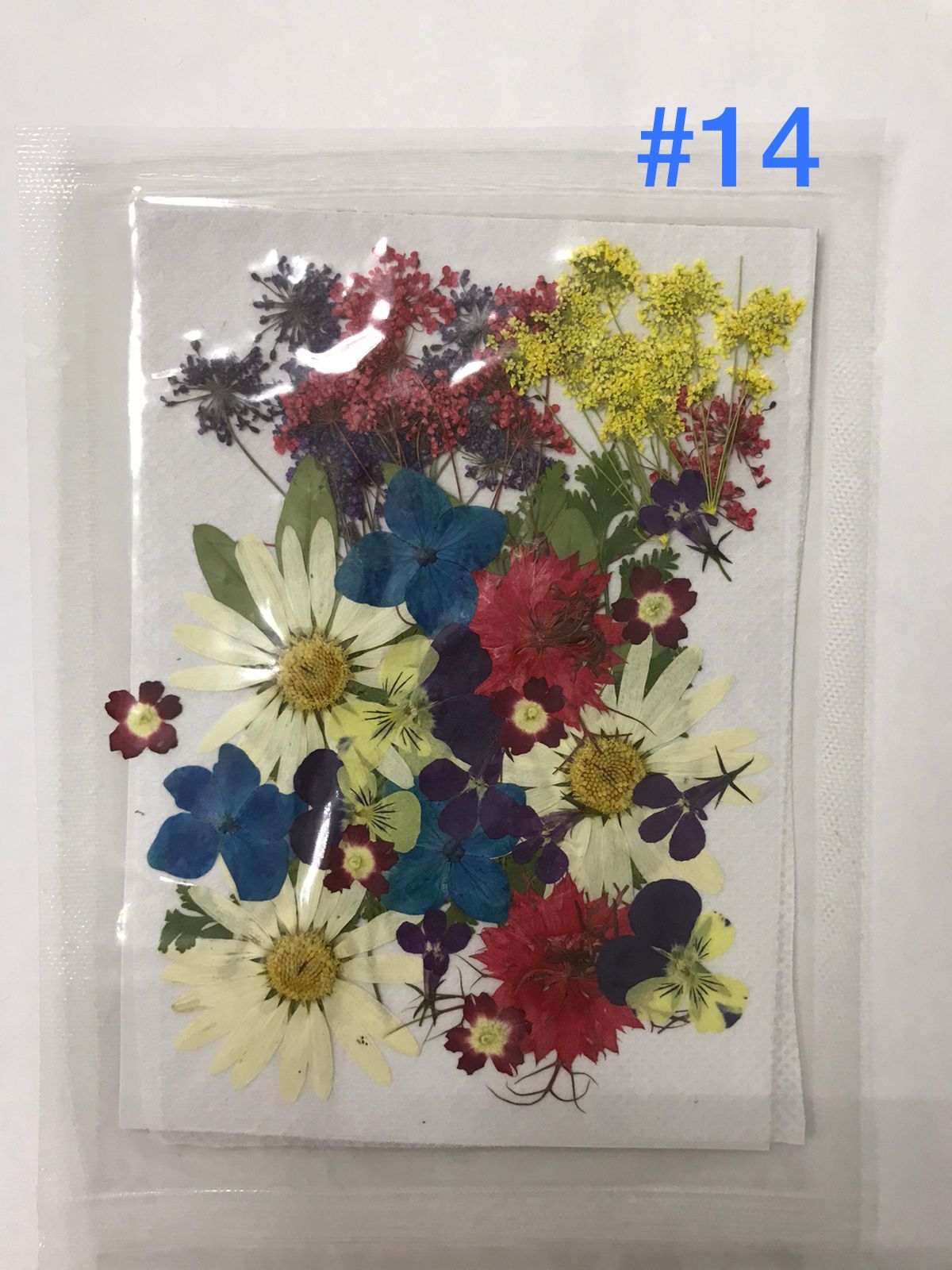 Flores secas para resina prensadas epoxi 108PCS decoracion joyeria llaveros